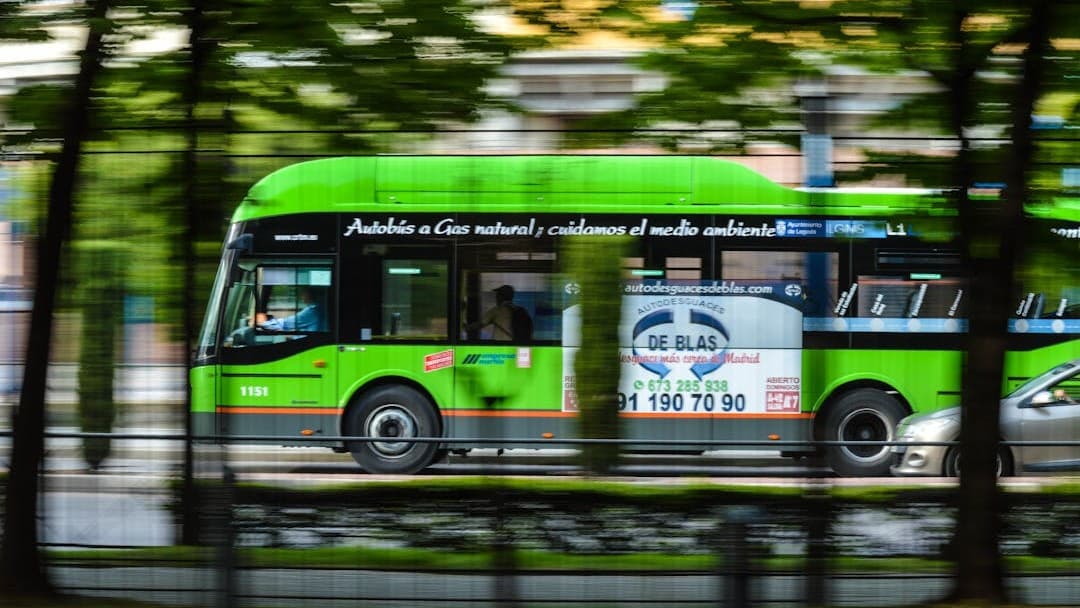 BUS