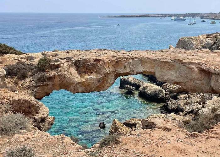 Cape Greko