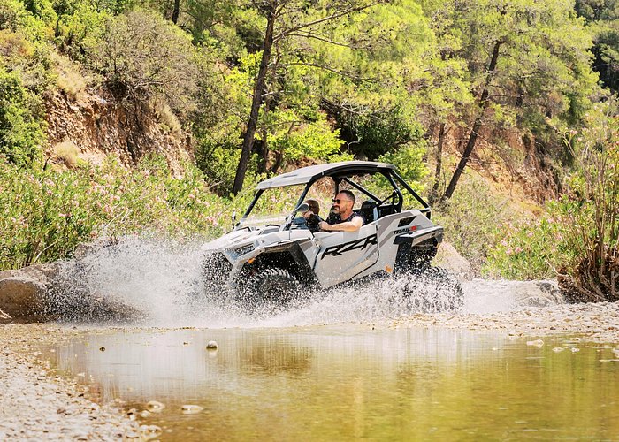 road Polaris Experience